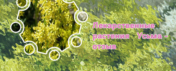 Растение усьма